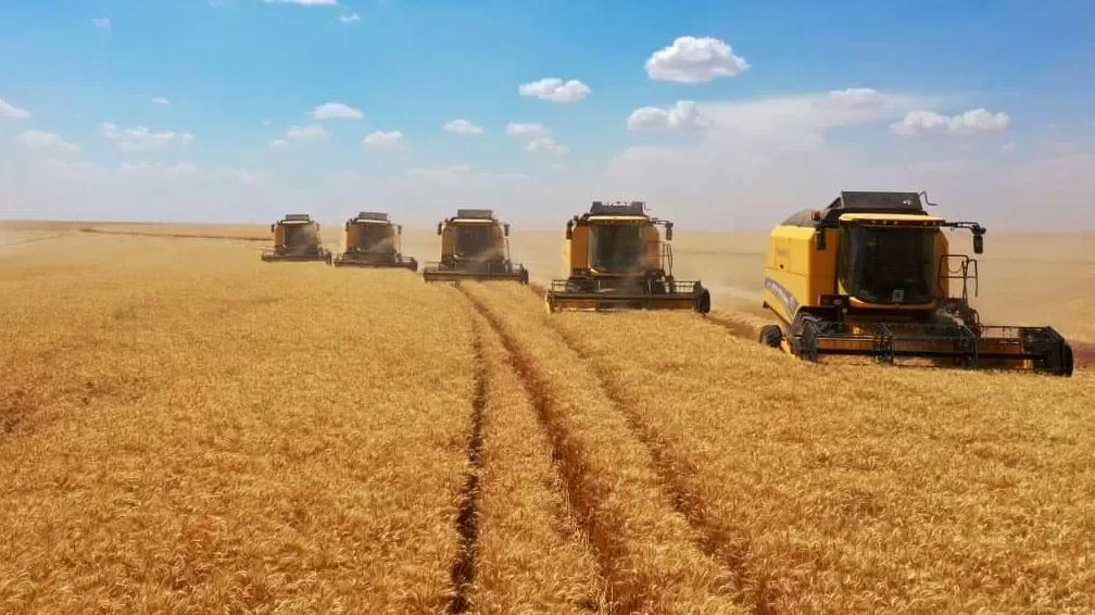 Kullanım Koşulları